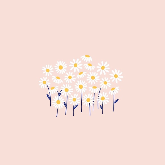 Meet your Posher, Izzy! - Picture 1 of 1